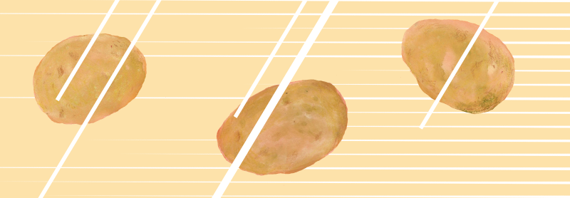 じゃがいも　イラスト