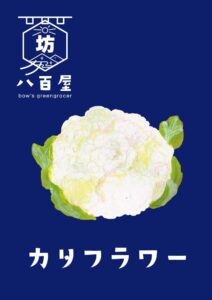 カリフラワー　イラスト
