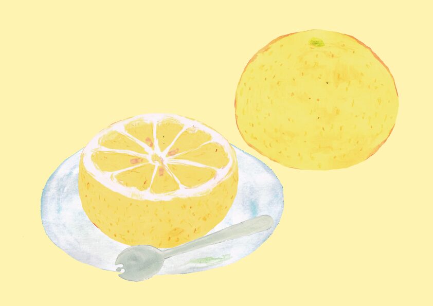 グレープフルーツ　イラスト