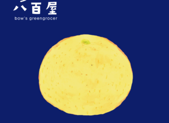 果物　グレープフルーツ　イラスト