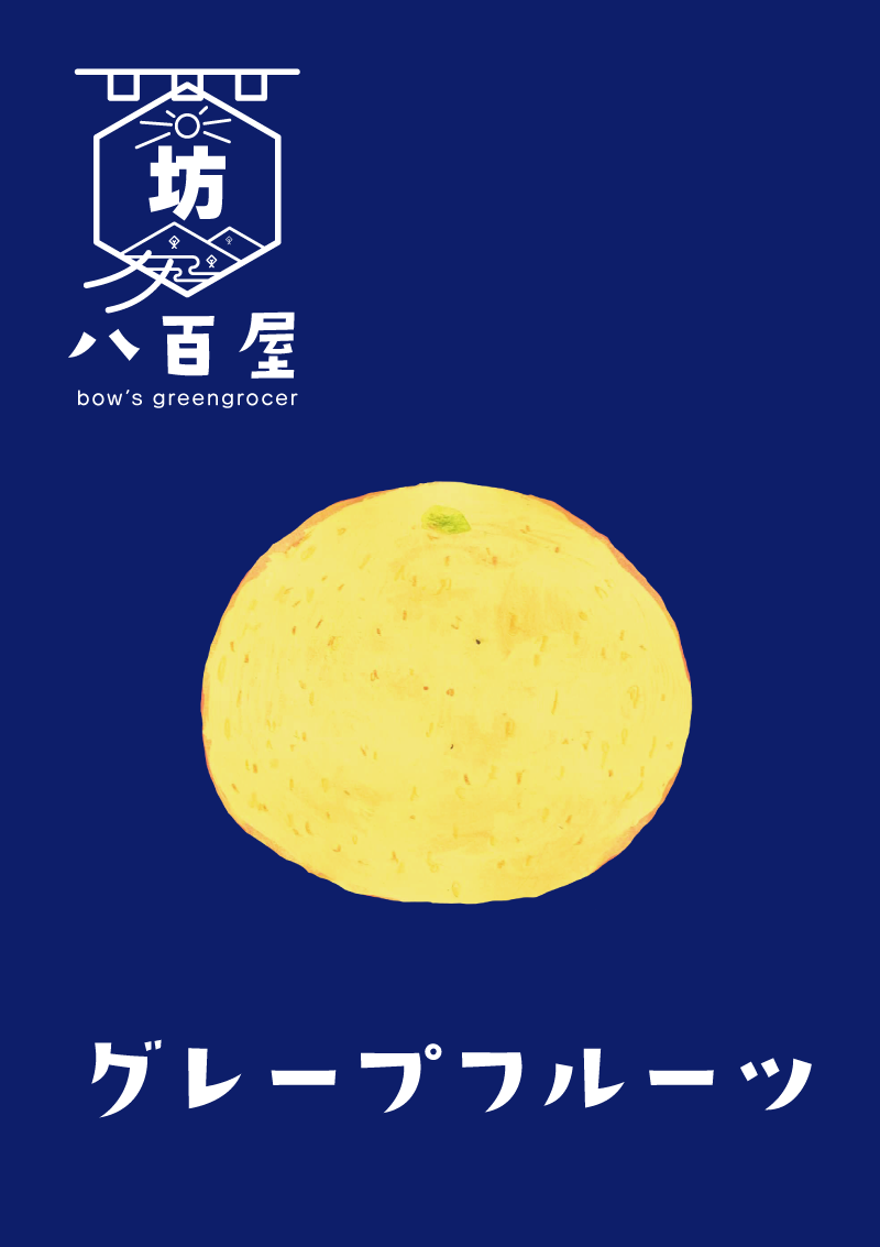 果物　グレープフルーツ　イラスト
