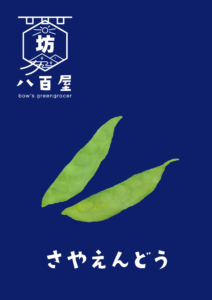 さやえんどう　イラスト