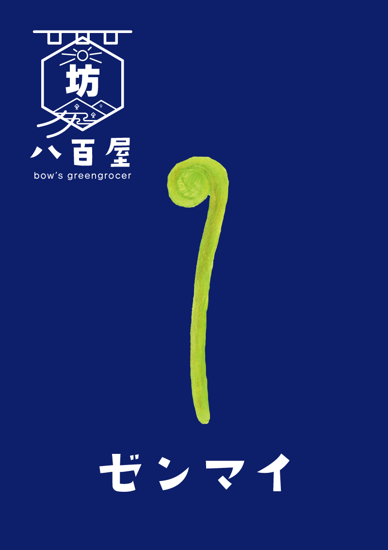 野菜　ゼンマイ　イラスト