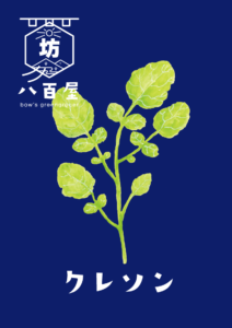 野菜　クレソン　イラスト