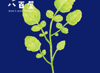 野菜　クレソン　イラスト