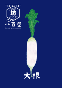 野菜　大根　イラスト