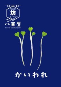 野菜　かいわれ　イラスト