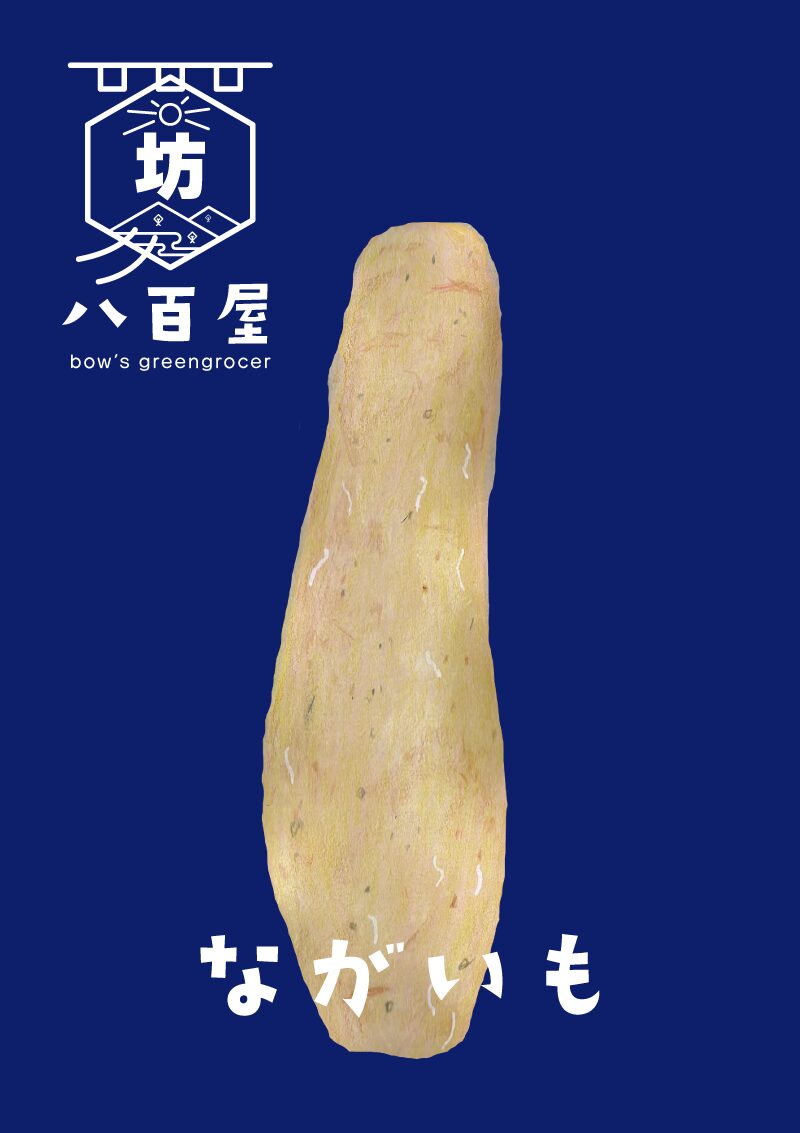 野菜　長芋　イラスト