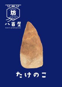 たけのこ　イラスト