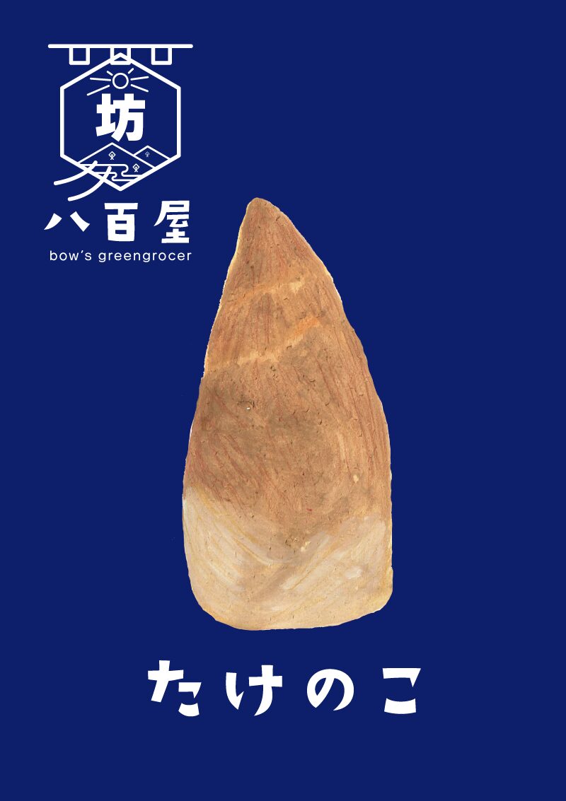 たけのこ　イラスト