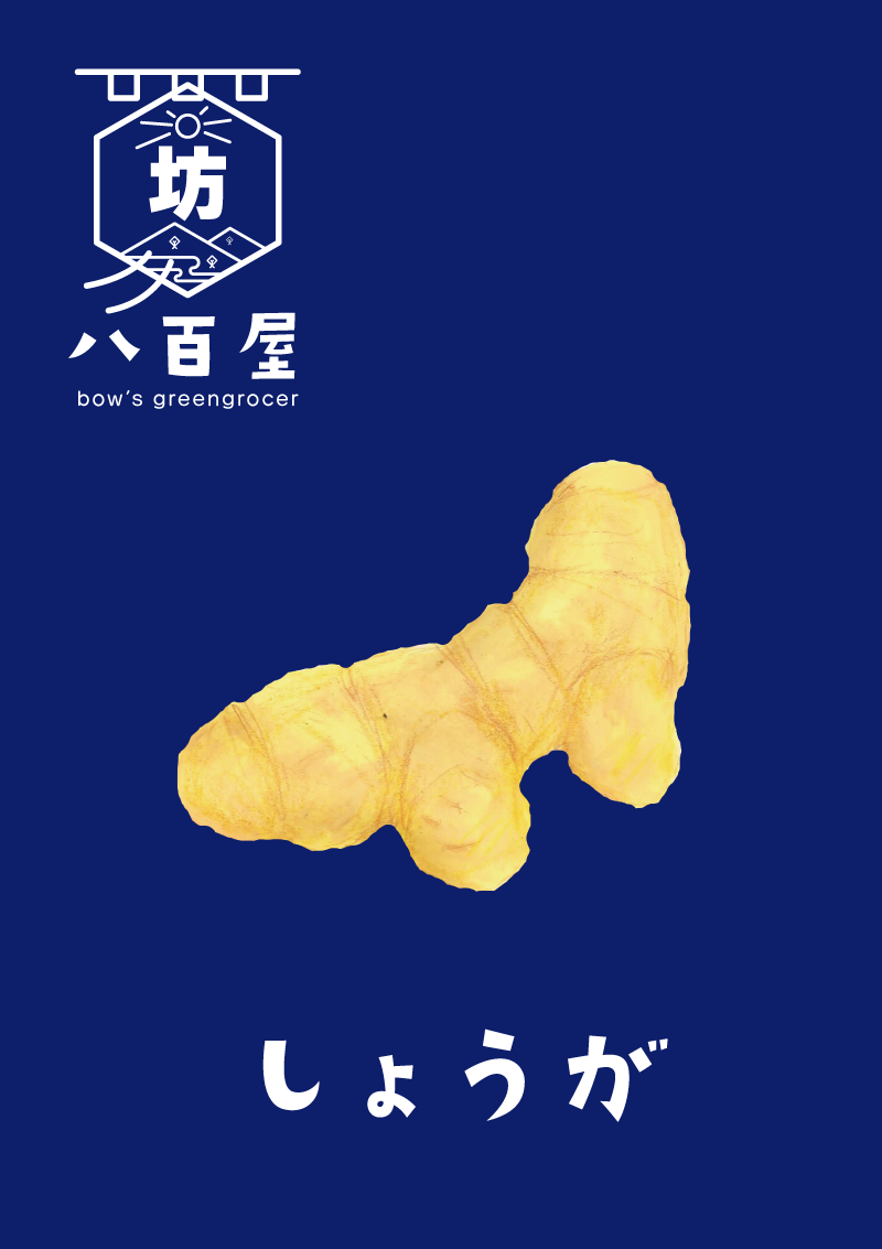 生姜　イラスト