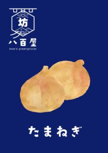 野菜　たまねぎ　イラスト