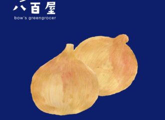 野菜　たまねぎ　イラスト