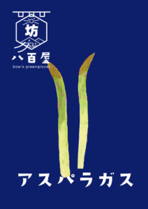 野菜　アスパラガス　イラスト