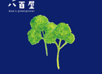 野菜　パセリ　イラスト