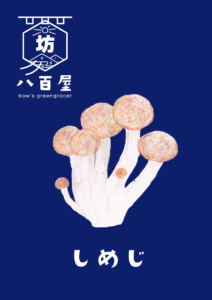 しめじ　イラスト