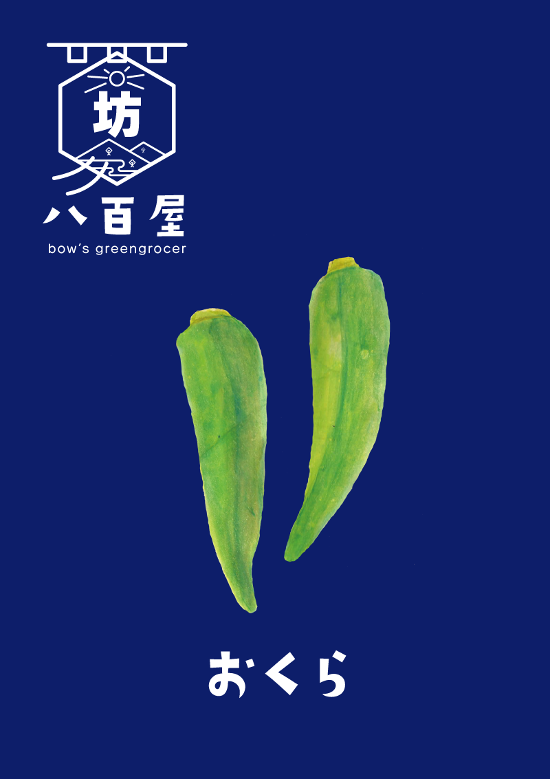 野菜　オクラ　イラスト