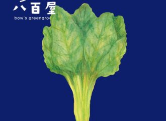 野菜　ほうれん草　イラスト