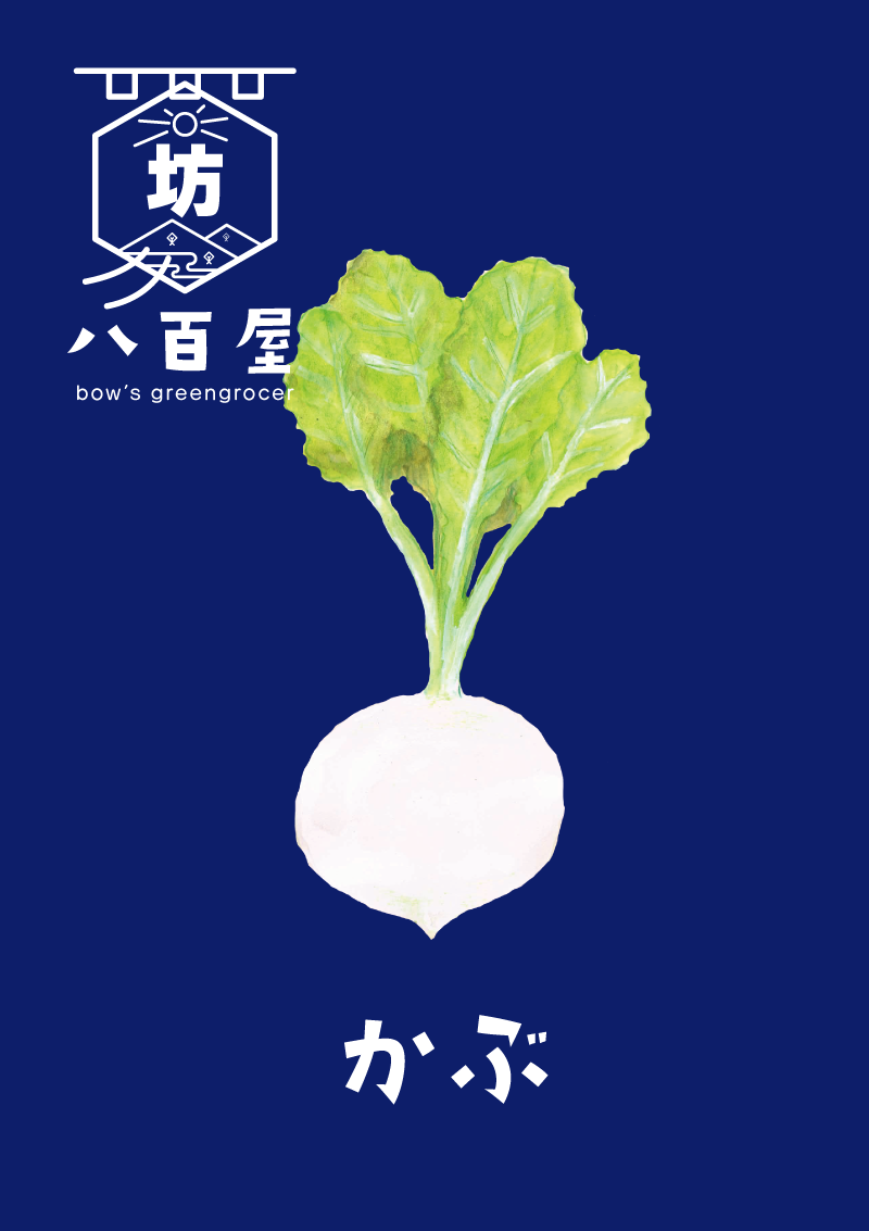野菜　かぶ　イラスト