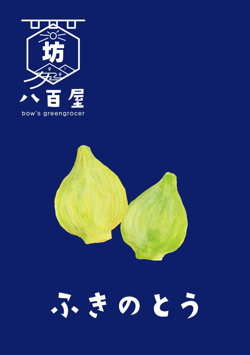 ふきのとう イラスト