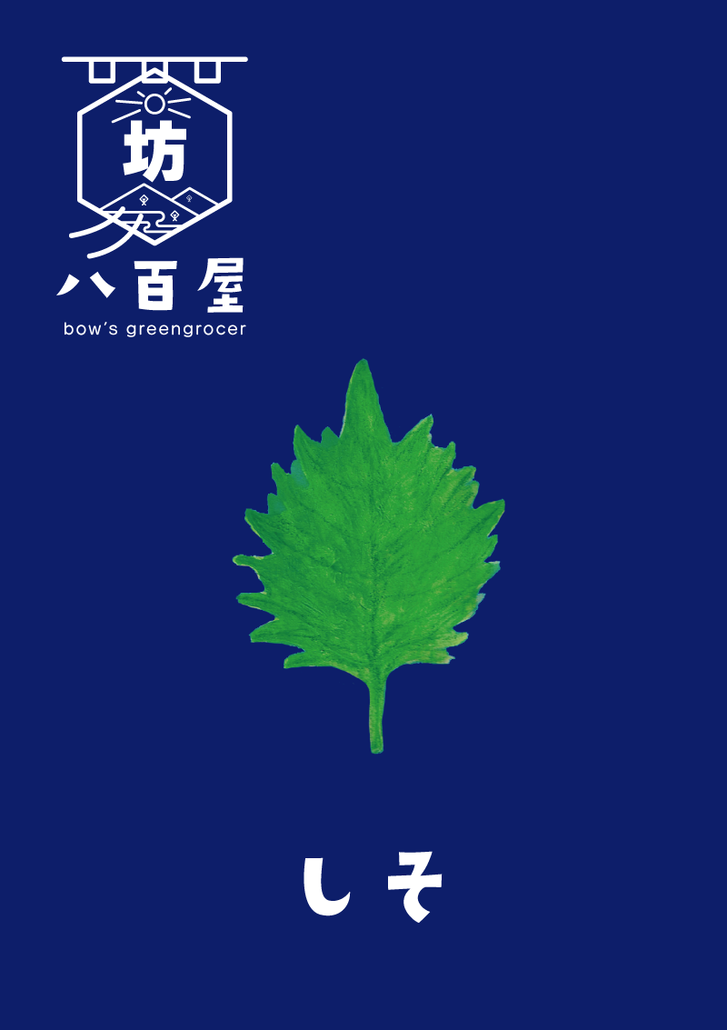 野菜　しそ　イラスト