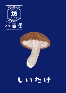 椎茸　イラスト