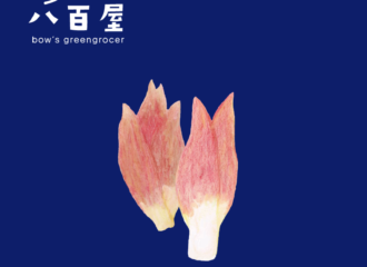 みょうが　イラスト