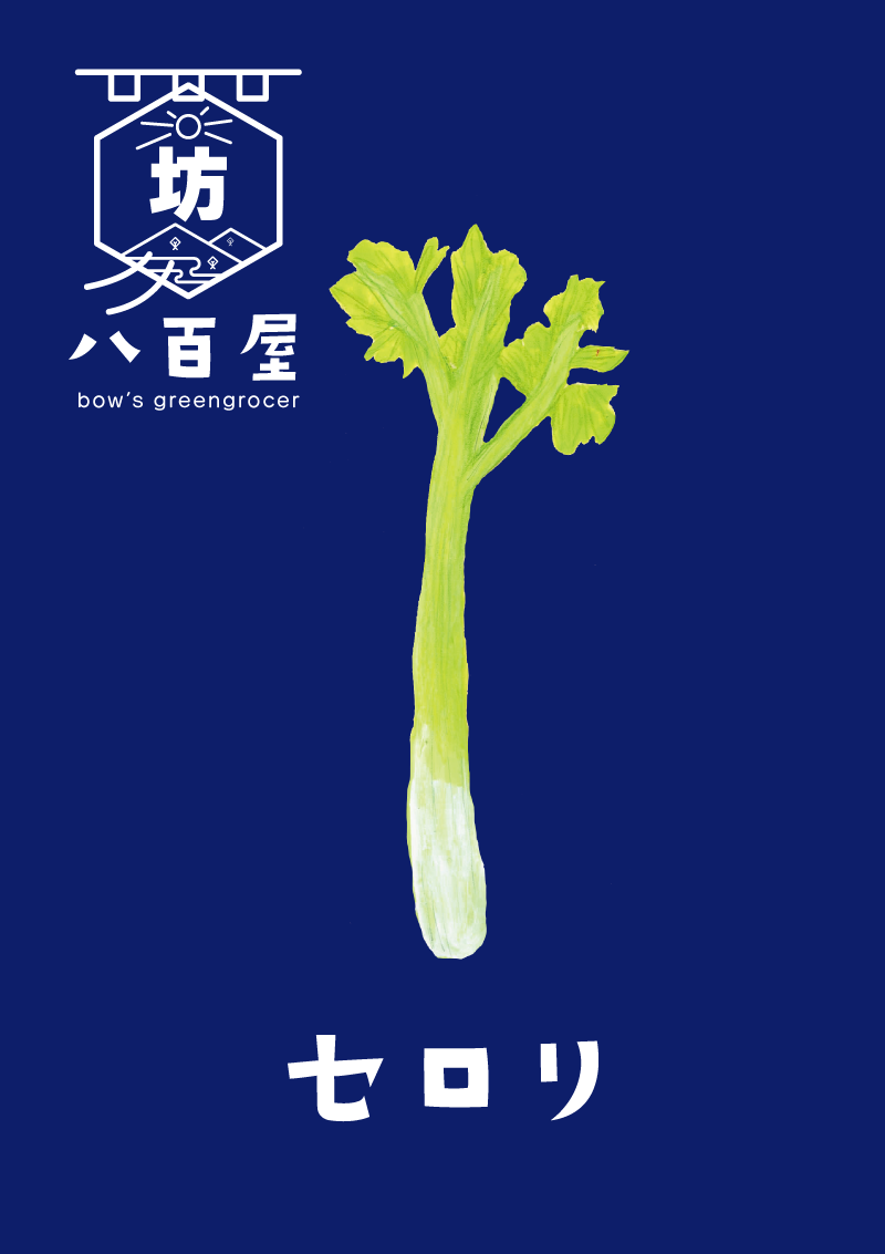 セロリ　イラスト
