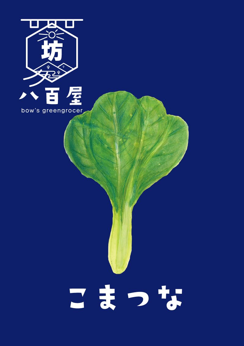 小松菜　イラスト