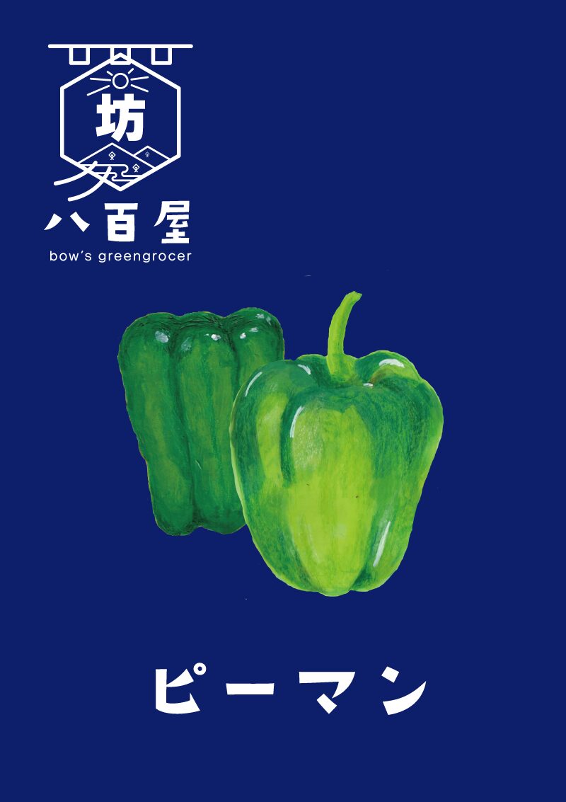 坊の八百屋　ピーマン　イラスト