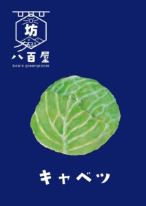 野菜　キャベツ　イラスト