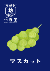 果物　マスカット　イラスト