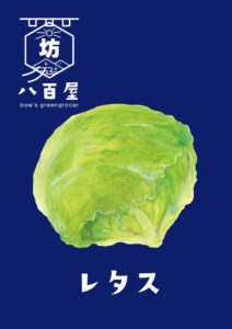 野菜　レタス　イラスト