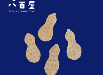 落花生　イラスト