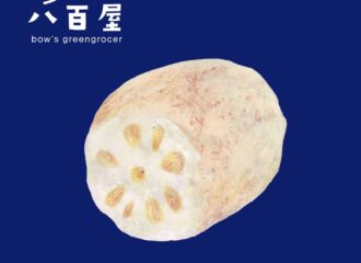 野菜　レンコン　イラスト