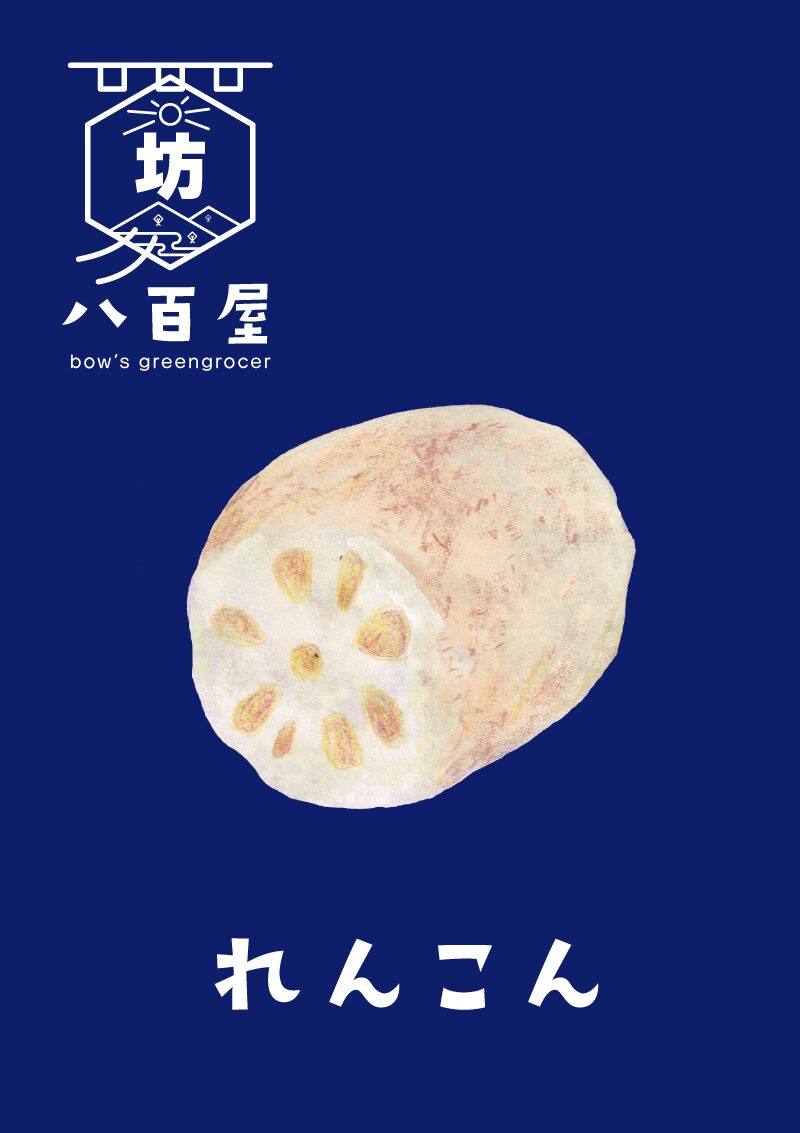 野菜　レンコン　イラスト