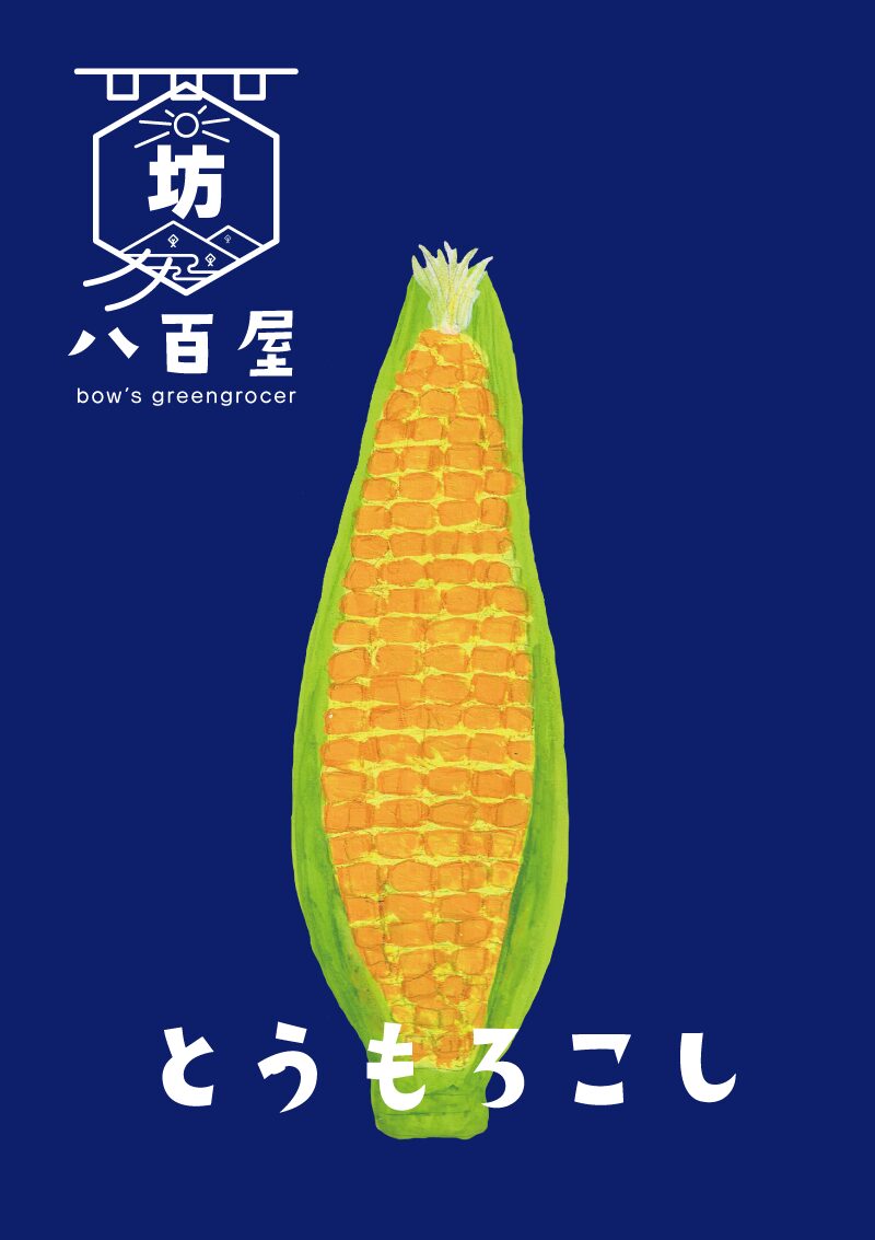 とうもろこし　イラスト