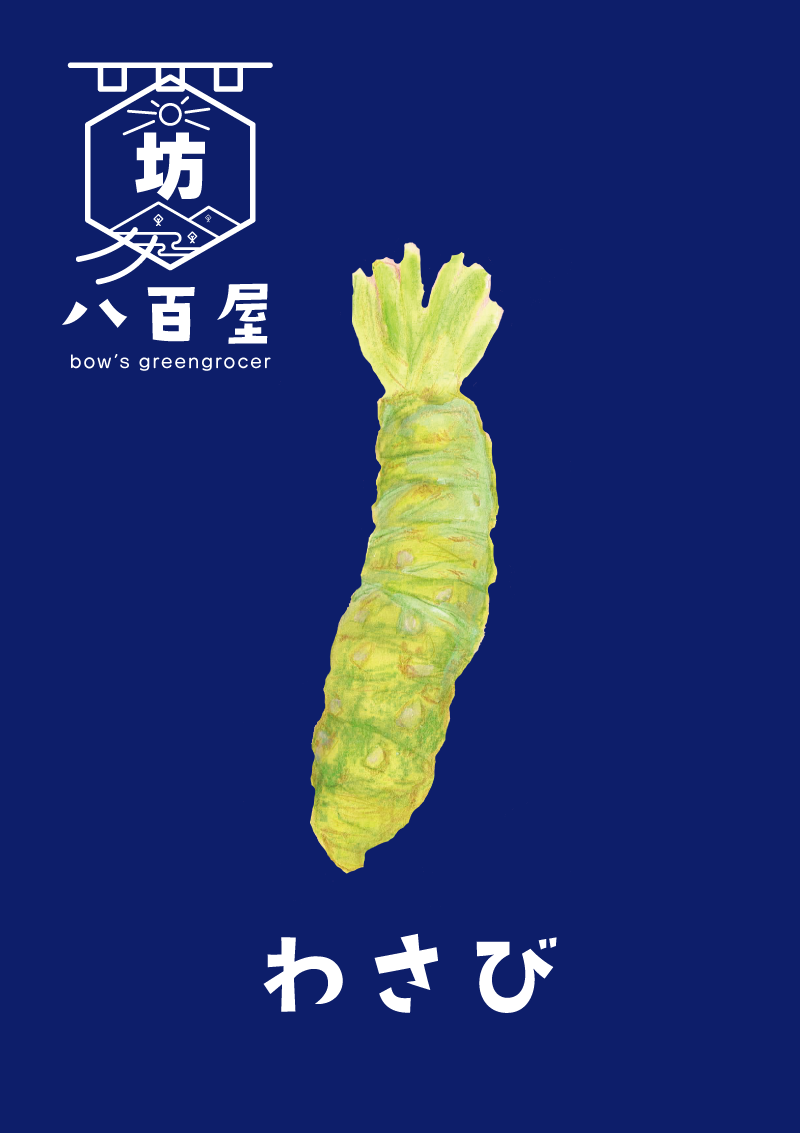 わさび　イラスト