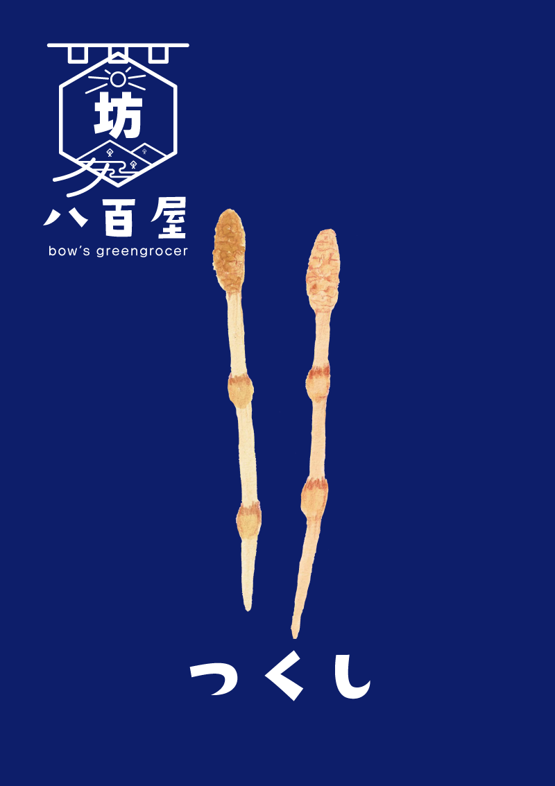 つくし　イラスト