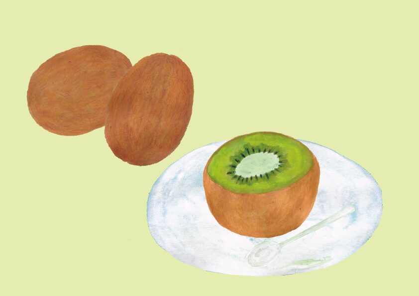 キウイ　イラスト