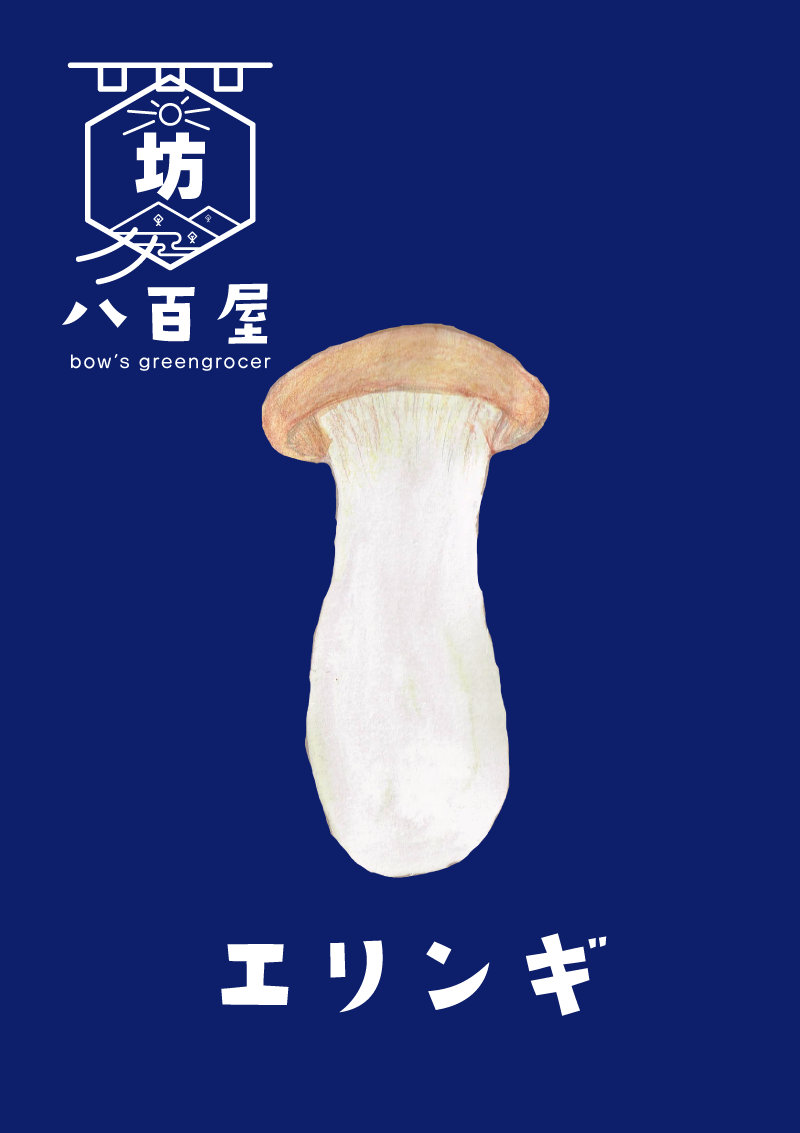 エリンギ　イラスト