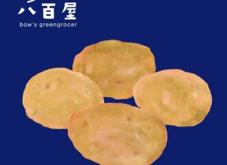 野菜　じゃがいも　イラスト