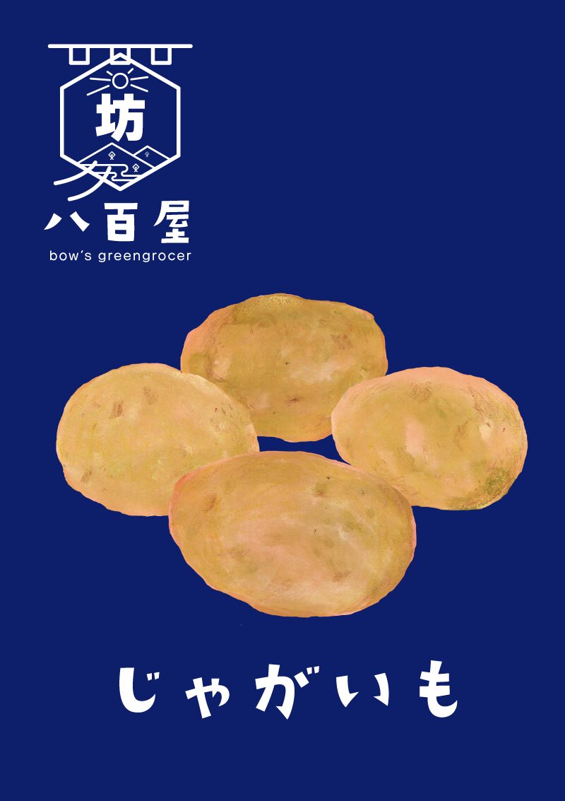 野菜　じゃがいも　イラスト