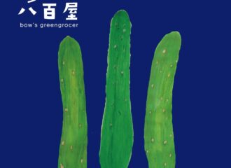 野菜　きゅうり　イラスト