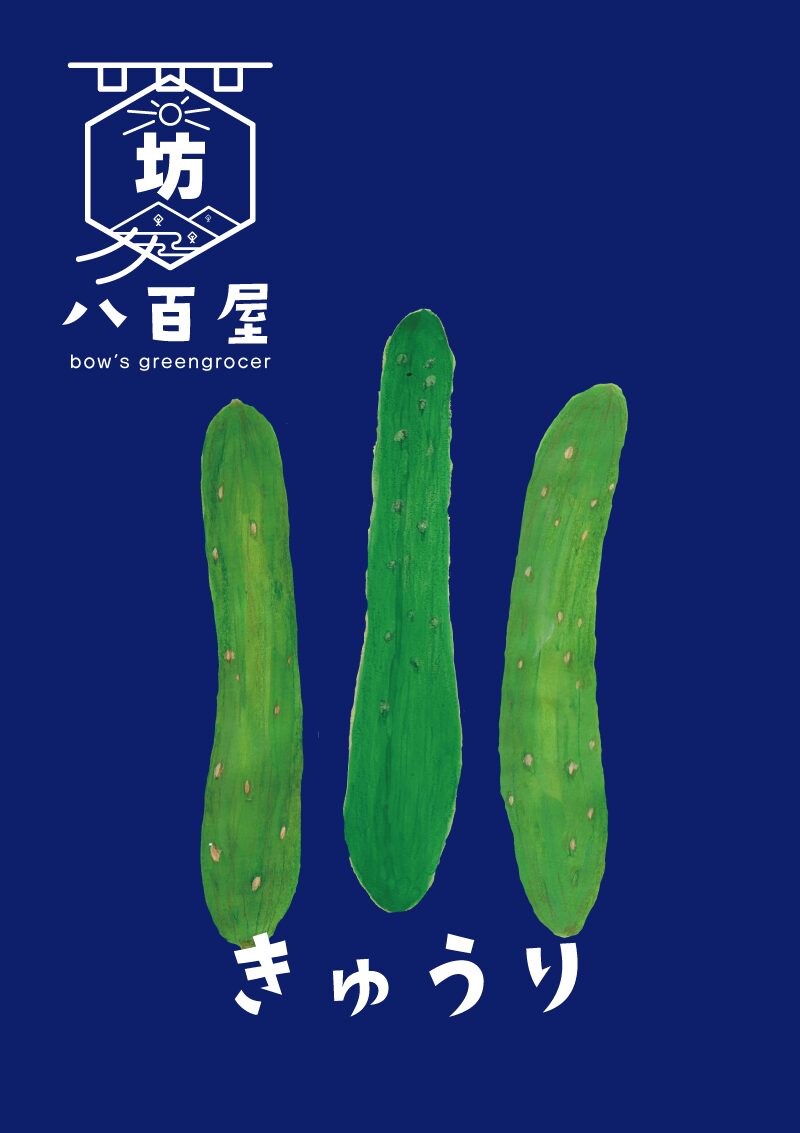 野菜　きゅうり　イラスト