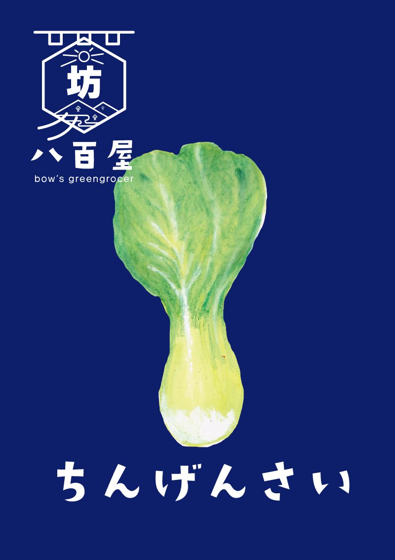 チンゲン菜　イラスト