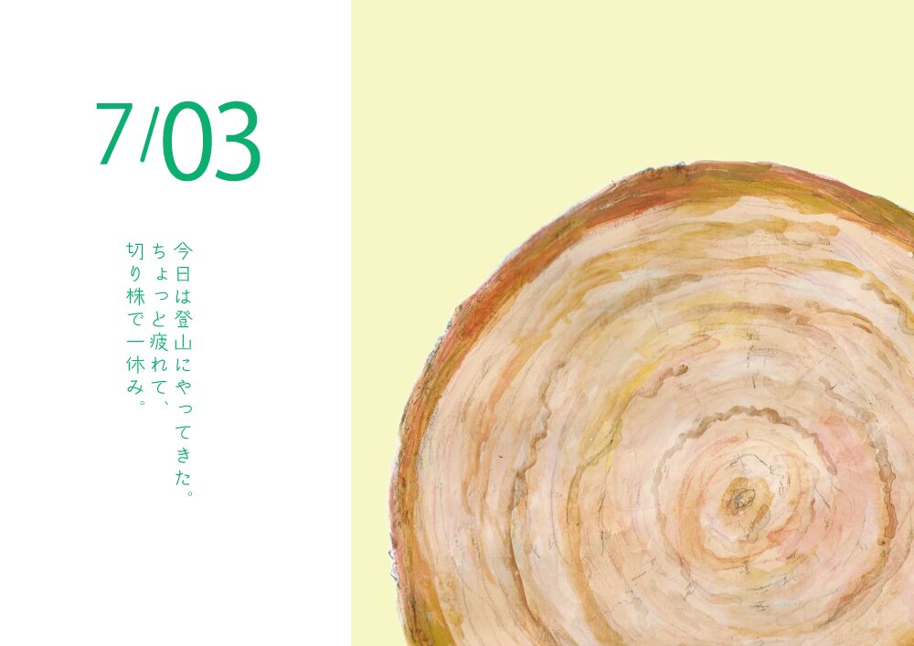 木の年輪　イラスト