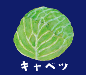 LINEスタンプ　キャベツ