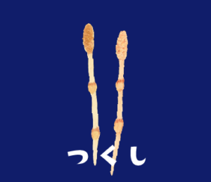 LINEスタンプ　つくし