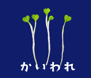 LINEスタンプ　かいわれ